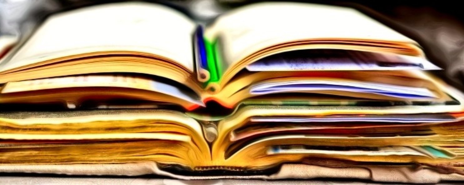 Leistungsträger lernen vor allem aus ihrer eigenen Arbeit und ihren Erfahrungen