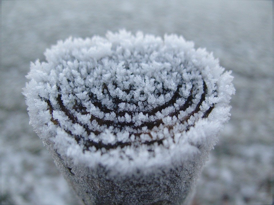 Mit diesen sieben Tipps schützen Nutzer ihr Smartphone im Winter