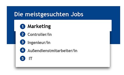 Jobsuche: Warum Bewerber oft die Katze im Sack kaufen