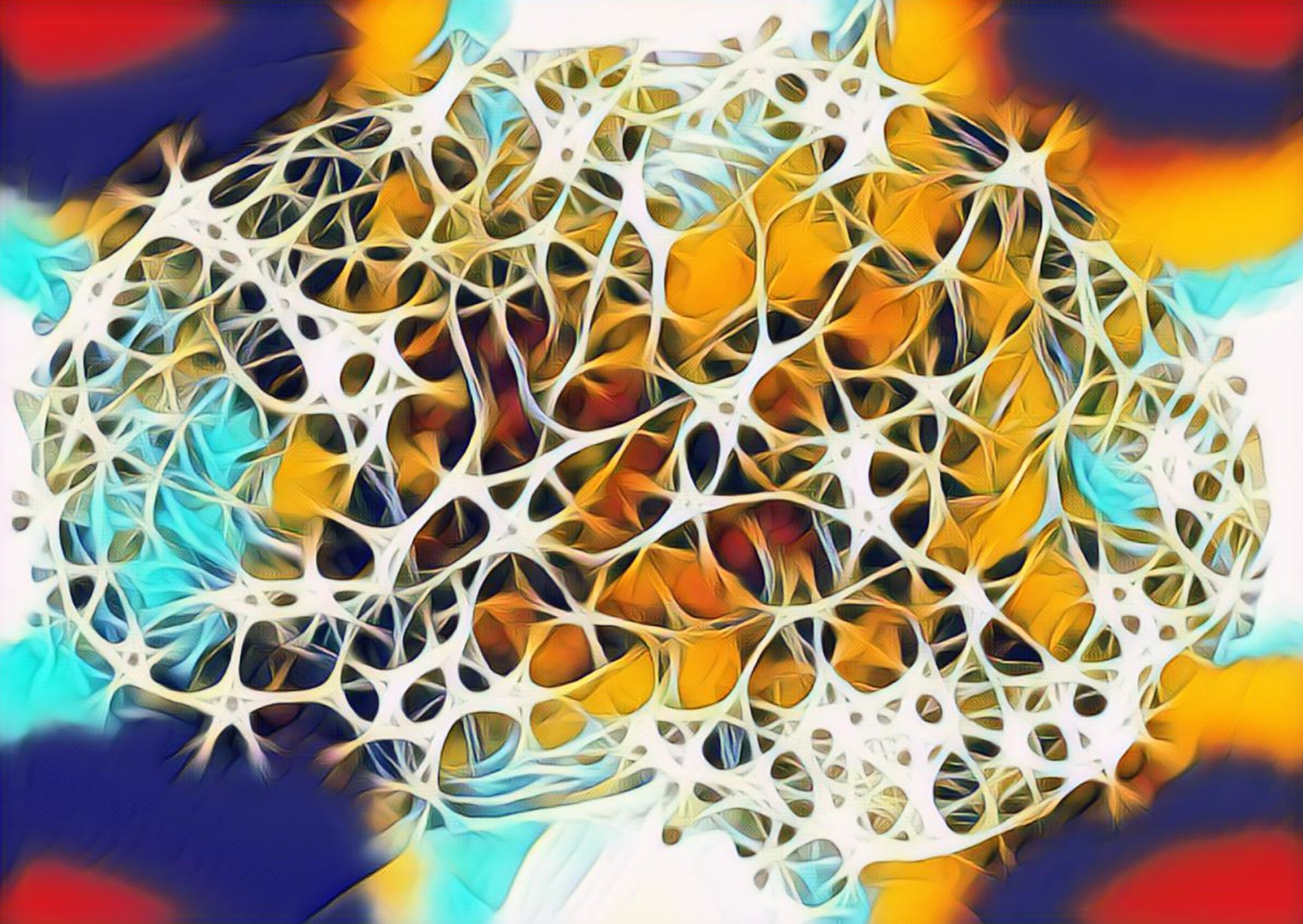 Neurowissenschaftliche Studie zeigt: Diese 5 Tipps sichern den maximalen Werbeerfolg auf jedem Screen