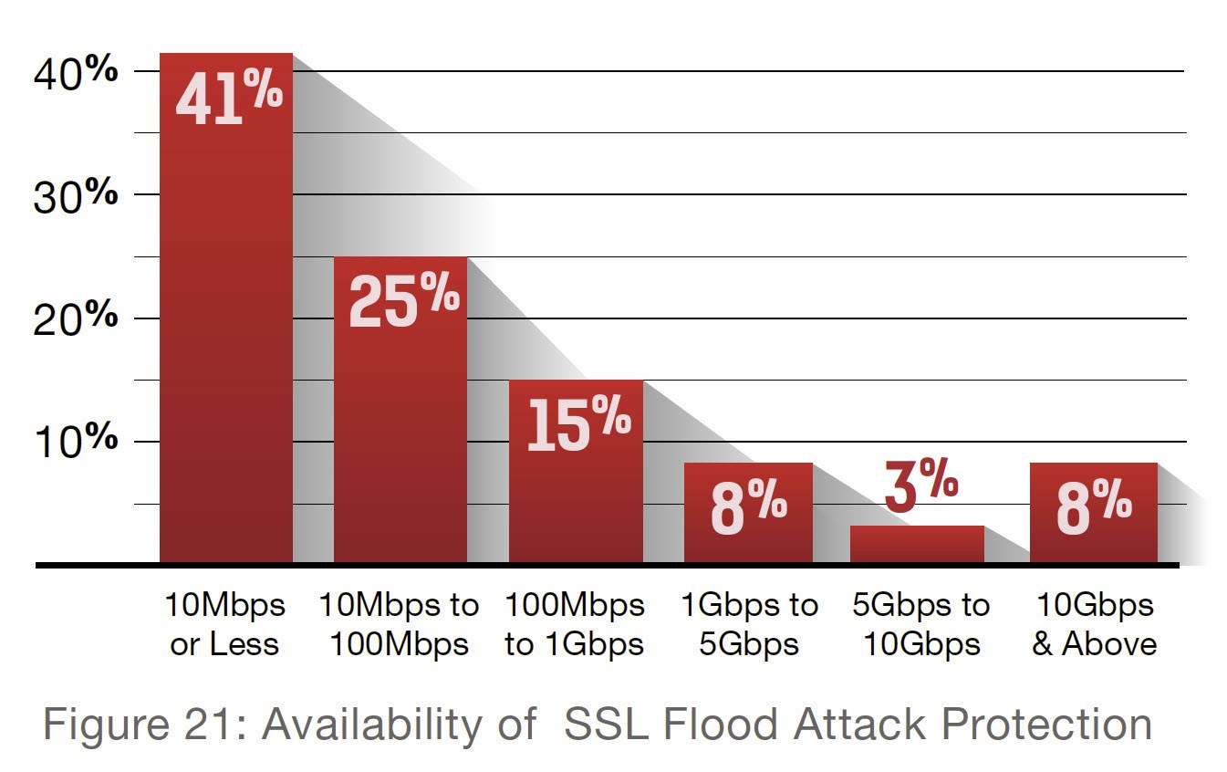 grafik radware ssl flood attack protection