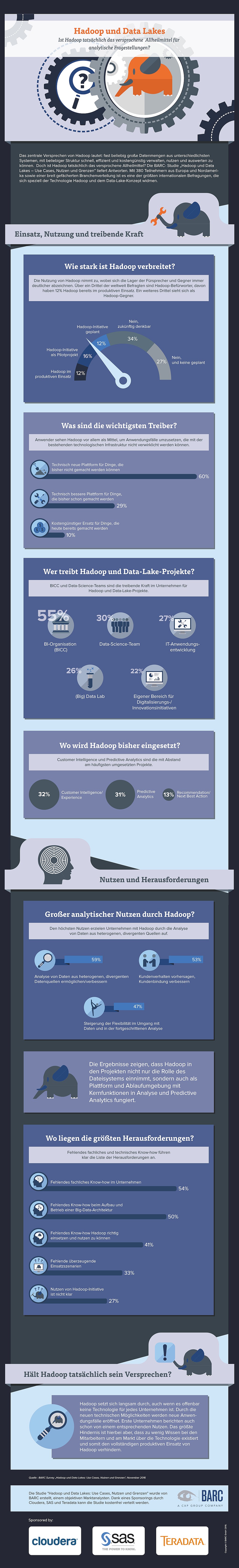 infografik-barc-hadoop_und_data_lakes_survey