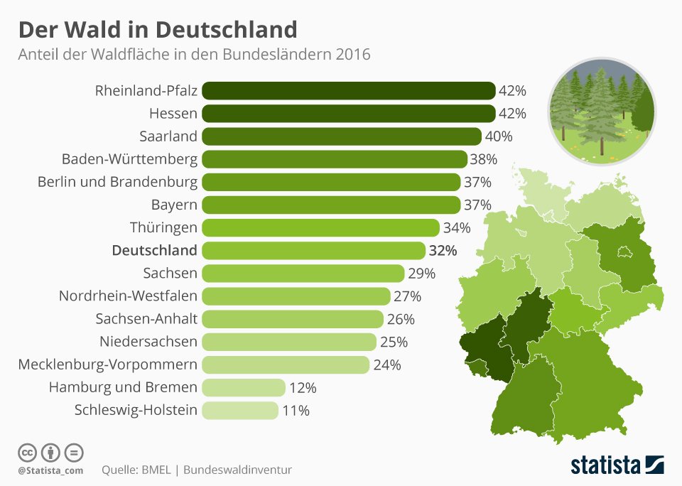 https://de.statista.com/infografik/13293/waldflaeche-in-den-bundeslaendern.