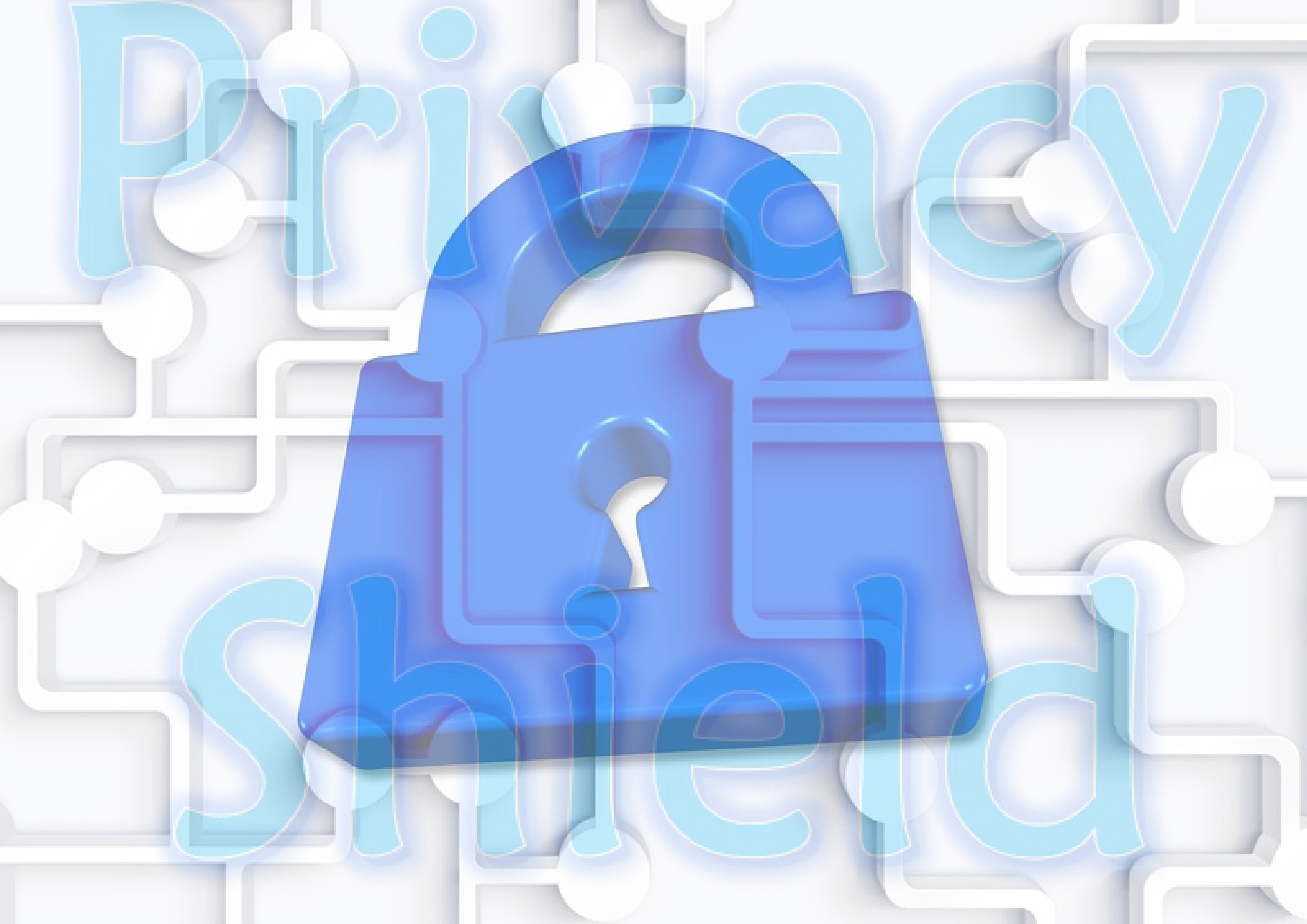 illu (c) aa privacy shield