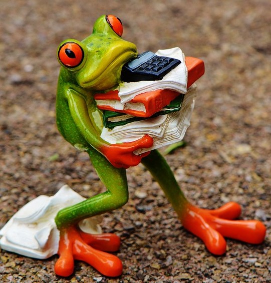 foto cc0 pixabay alexas fotos frosch organisation arbeit