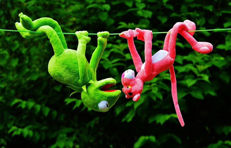 foto cc0 pixabay alexas_fotos rumhängen kermit panther