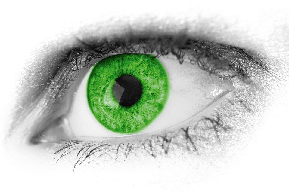foto cc0 pixabay pdp auge grün