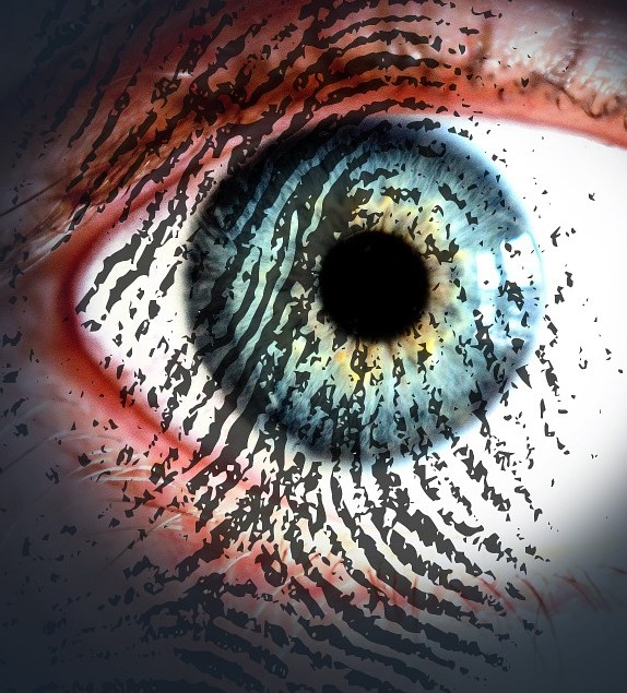 foto-cc0-pixabay-stux-auge-fingerabdruck