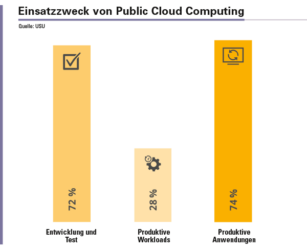 Abbildung 2: Für den Einsatz der Public Cloud Computing Services haben sich in den Unternehmen zwei Schwerpunkte heraus kristallisiert.